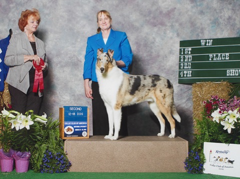 12-18dog copy