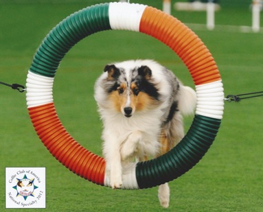 B. agil. tire