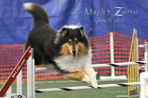MACH3 Zorro