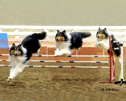 Nike - Triple Jump