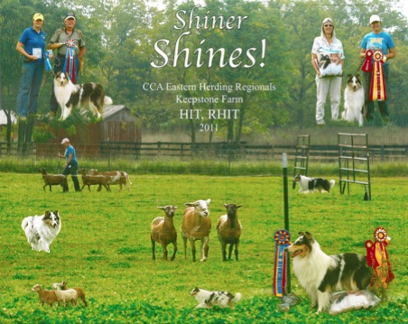 Shiner1 copy