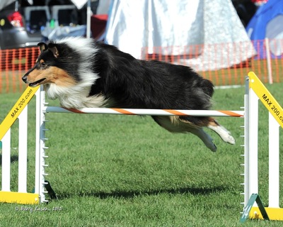 Zorro2